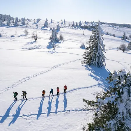 Apartament La Maison Berma *
