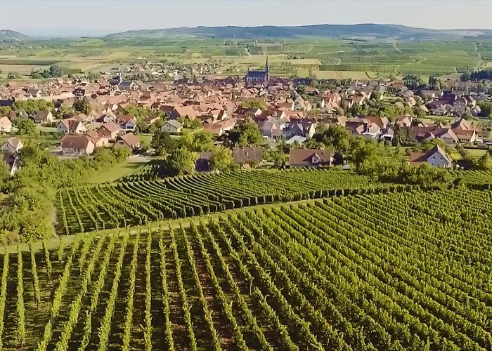 La Maison Berma